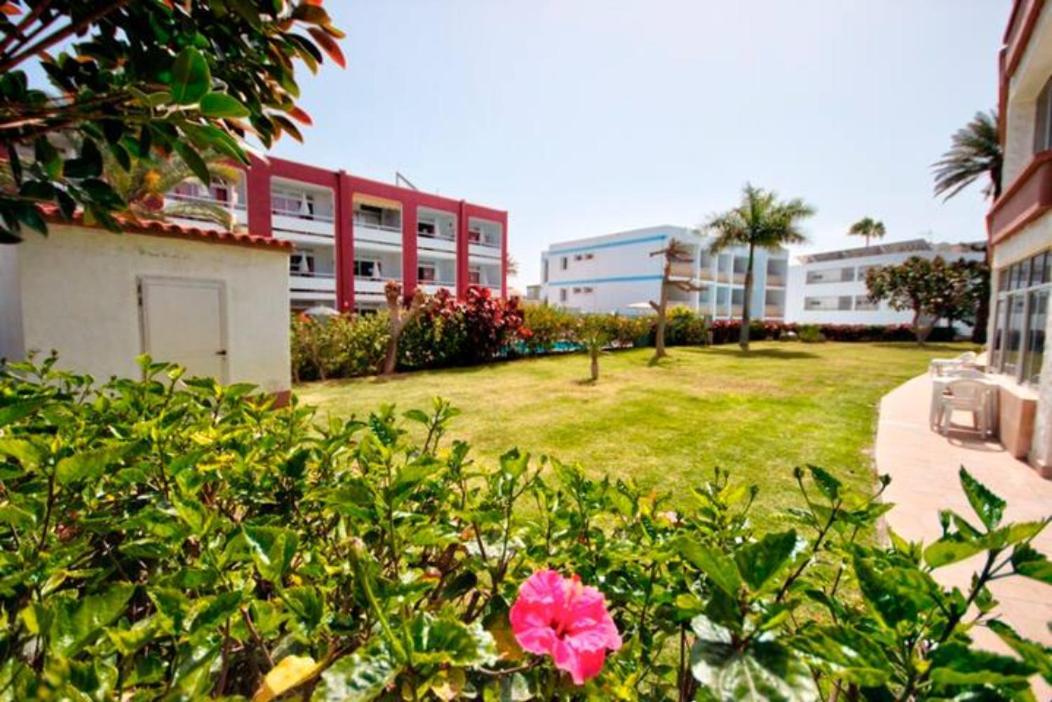 Apartamento Bonito 103 ปลายา เดล อิงเกลส ภายนอก รูปภาพ